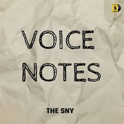 Voice Notes