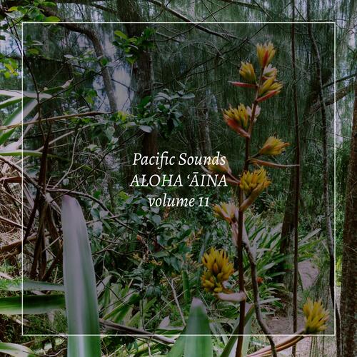 Munro Trail Ironwood Copse, Lanaʻi cover art
