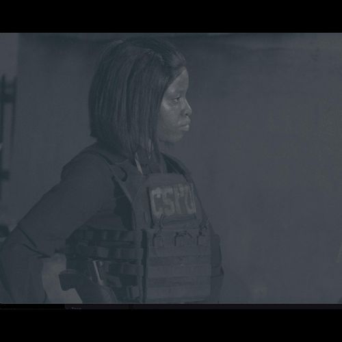 CSPD Investigating the Crime cover art