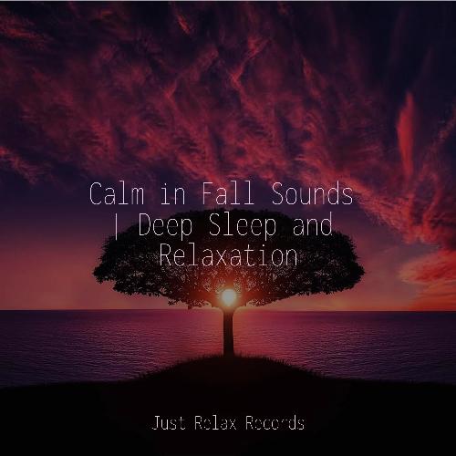 Calm in Fall Sounds | Deep Sleep and Relaxation