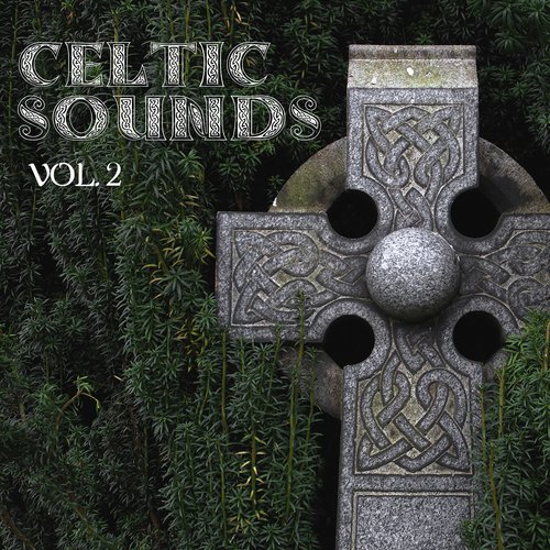 Le Lucertole Del Folk cover art