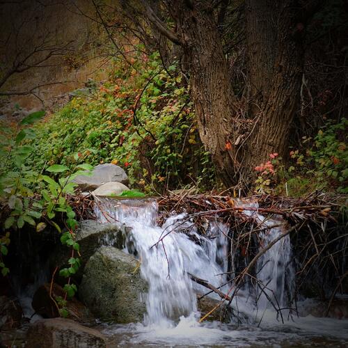 Deep Relaxation and Peaceful Sleep with Sounds of Water Stream_poster_image