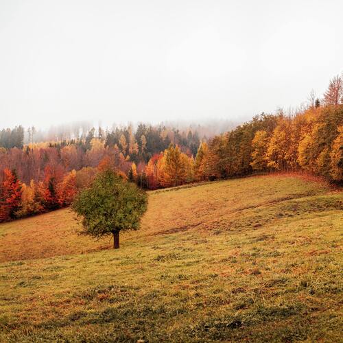 Stay Young cover art