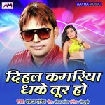 Dihla Kamariya Dhake Tur Ho