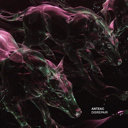 Interflow cover art