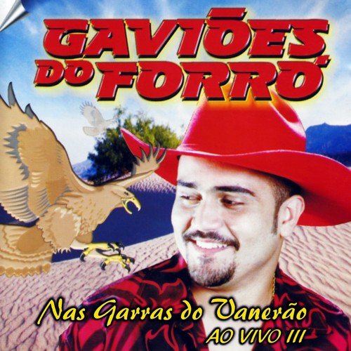 Gaviões do Forró