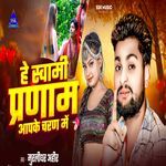 He Swami Pranam Aapke Charan Me