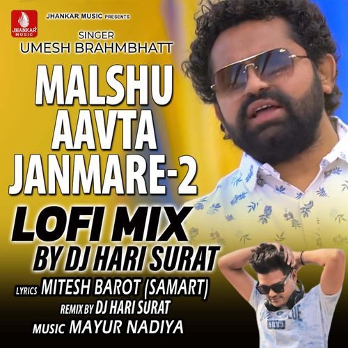 Malshu Aavta Janmare 2 Lofi Mix