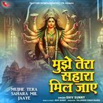 Mujhe Tera Sahara Mil Jaaye