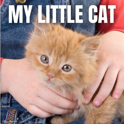 Not Good cover art