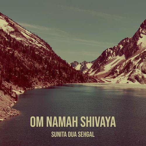 Om Namah Shivaya