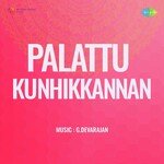 Palattu Kunhikkannan