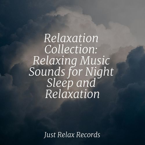 Relaxation Collection: Relaxing Music Sounds for Night Sleep and Relaxation