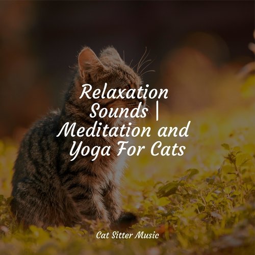 Relaxation Sounds | Meditation and Yoga For Cats