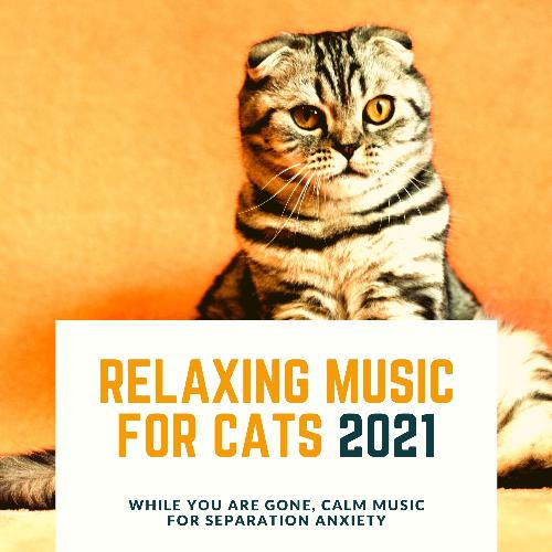 Serenity Relaxation cover art