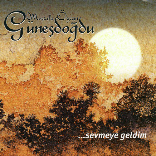 Sevmeye Geldim cover art
