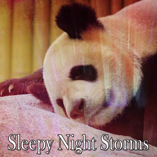 Sleepy Night Storms