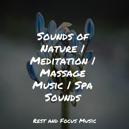 All Day Relaxation cover art
