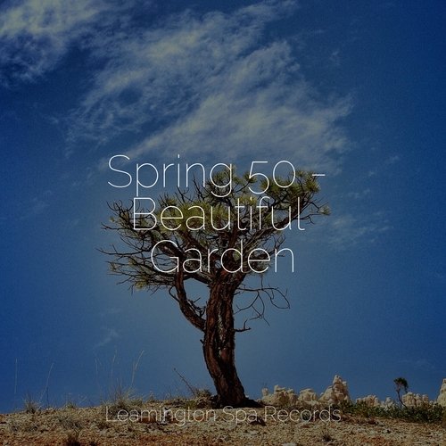Meditating Music cover art