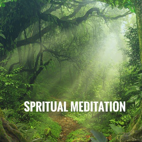 Namaste Meditation