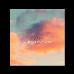 Cosmica