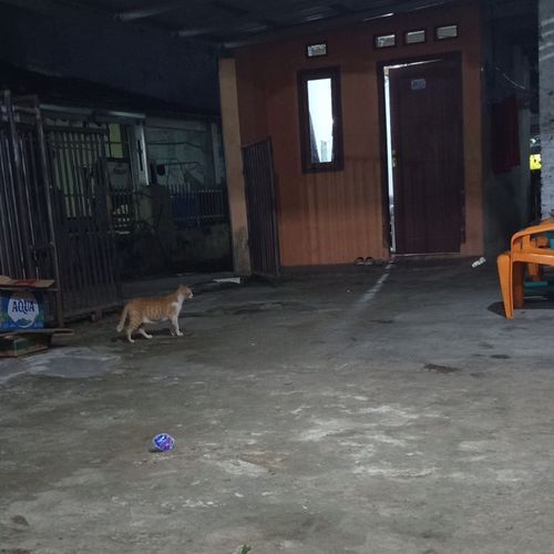Terlepas kembali
