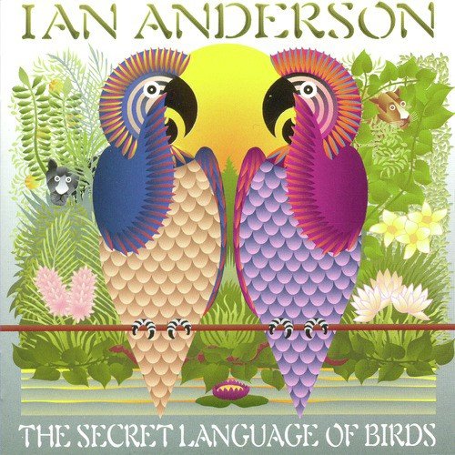 The Secret Language Of Birds