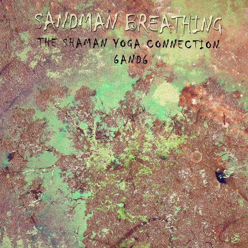 Shaman Yoga Meditation Cycle A10