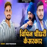 Vipin Chaudhari Ke Sarkar artwork