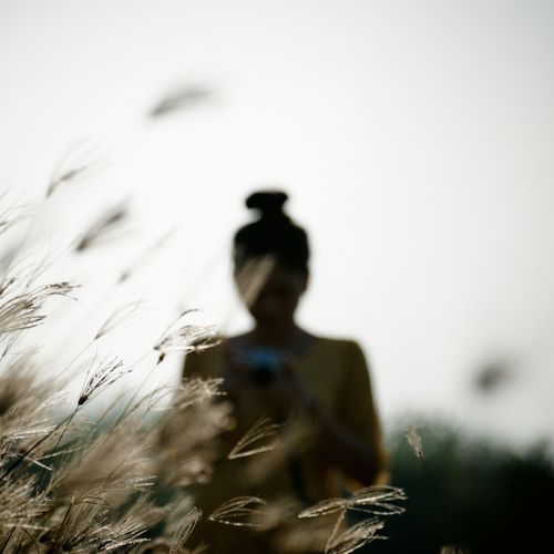 Zen Wave Meditation cover art