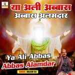 Ya Ali Abbas Abbas Alamdar