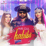 Yari Gul Habibi