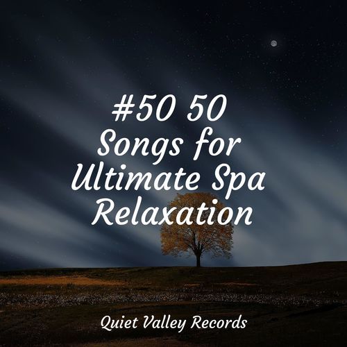 #50 50 Songs for Ultimate Spa Relaxation