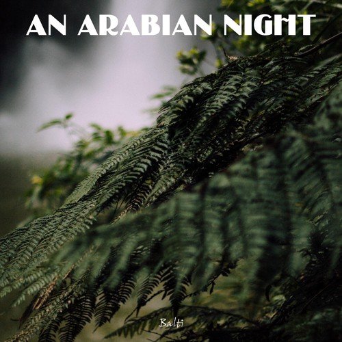 An Arabian Night_poster_image