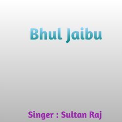 Bhul Jaibu