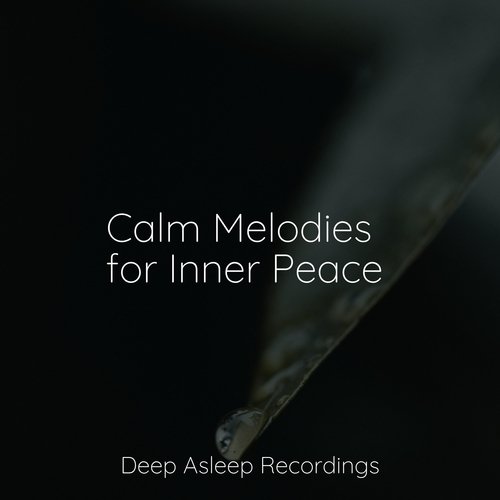 Calm Melodies for Inner Peace