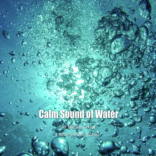 Calm Sound of Water_poster_image