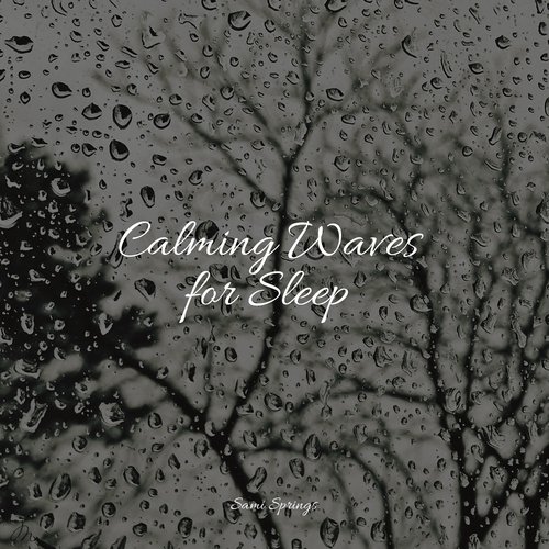 Rain, Storm and Thunder cover art