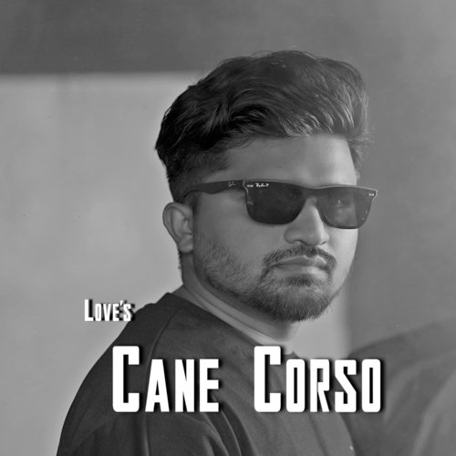 Cane Corso