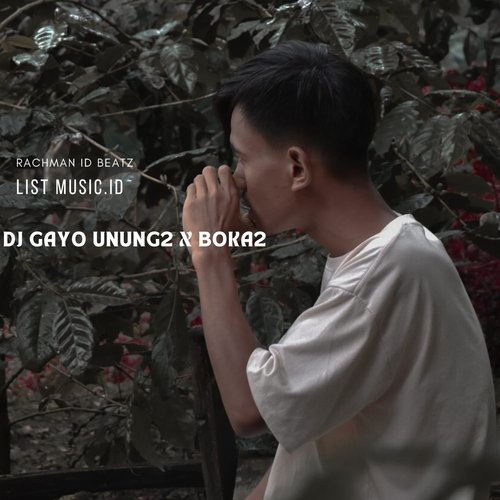 DJ Gayo unung2 x boka2 cover art