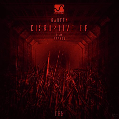 Disruptive (Erphun Remix) cover art