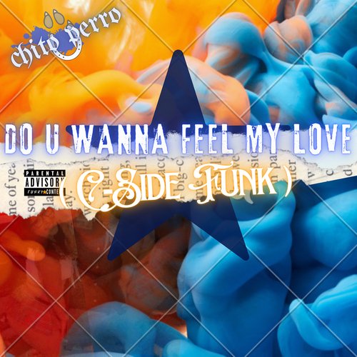 Do U Wanna Feel My Love (C Side Funk)_poster_image