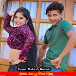 Janu Janu Mat Khe artwork