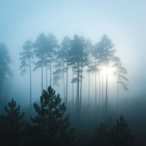 Julian Rhett Atkins-Silver Roads Awake