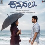 Kanasalu