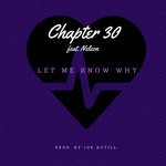 Chapter 30