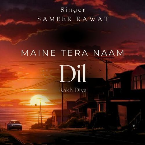 Maine Tera Naam Dil Rakh Diya cover art