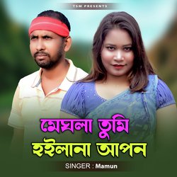 Meghla Tumi Hoilana Apon-JyIKeAZ6Q3Q