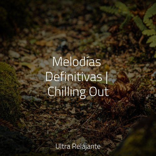 Melodías Definitivas | Chilling Out