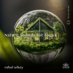Nature Sounds for Focus